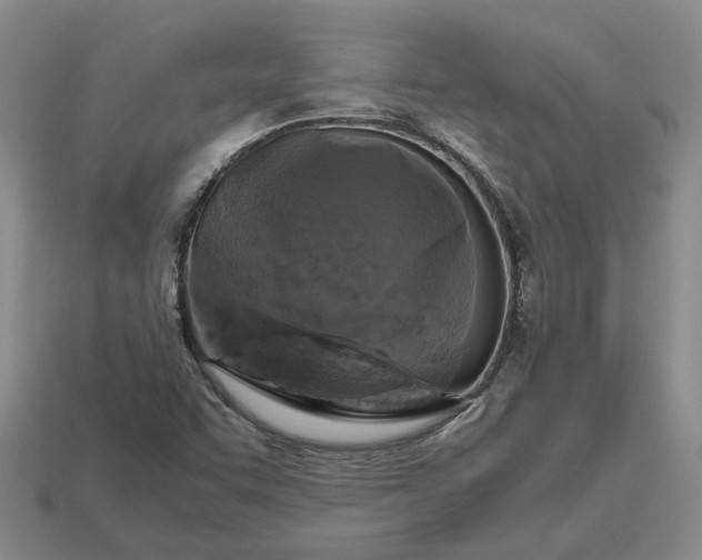 X0000112971455200909101643