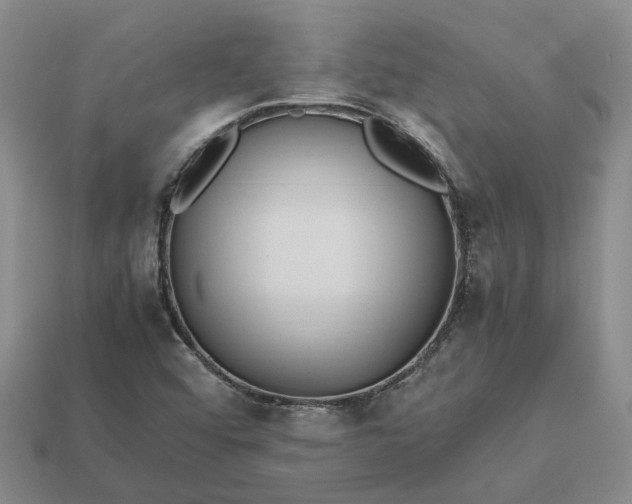 X0000112971456200909101643