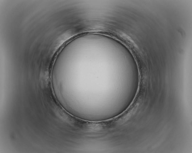 X0000112971457200909101643