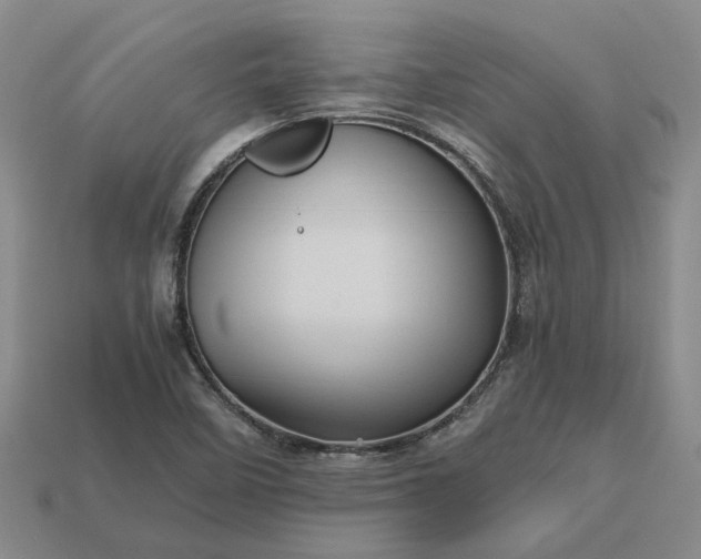 X0000112971458200909101643