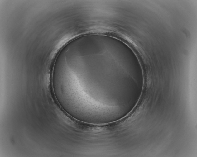 X0000112971459200909101643