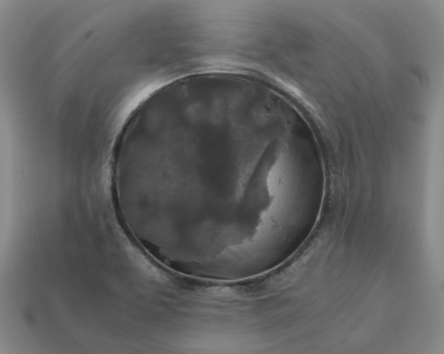 X0000112971463200909101643