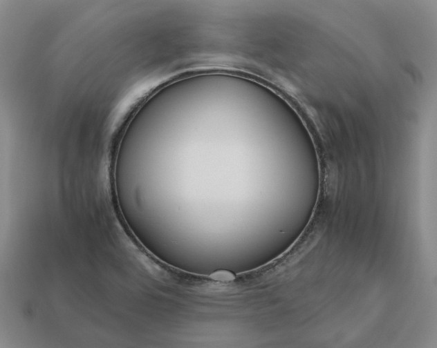 X0000112971464200909101643