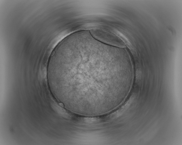 X0000112971465200909101643