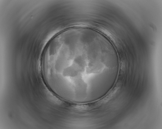 X0000112971466200909101643