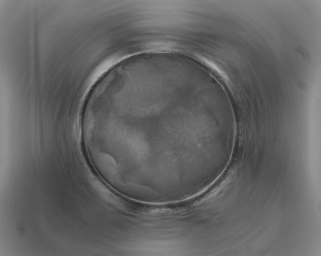 X0000112971467200909101643