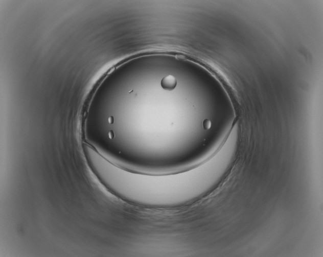 X0000112971468200909101643