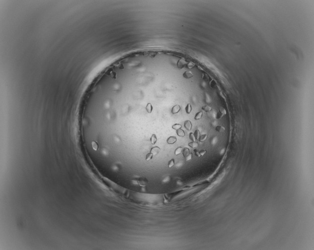 X0000112971469200909101643