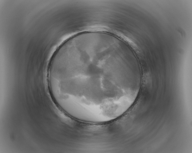 X0000112971470200909101643