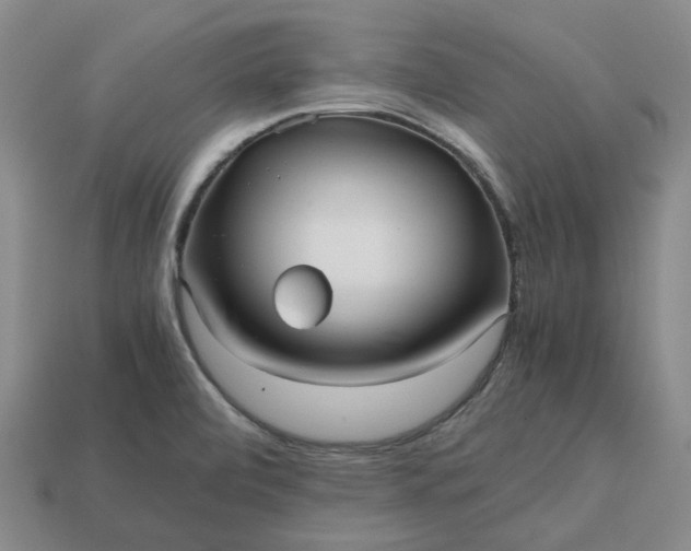 X0000112971472200909101643