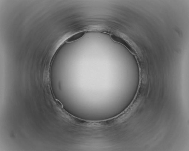 X0000112971473200909101643