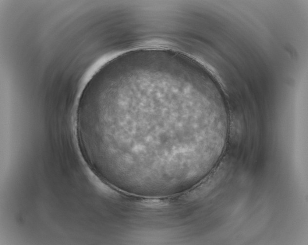 X0000112971478200909101643