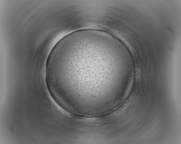 X0000112971479200909101643