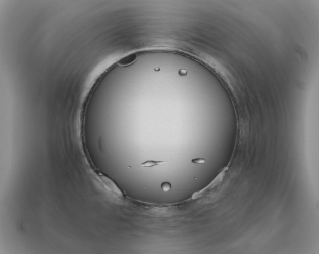 X0000112971480200909101643