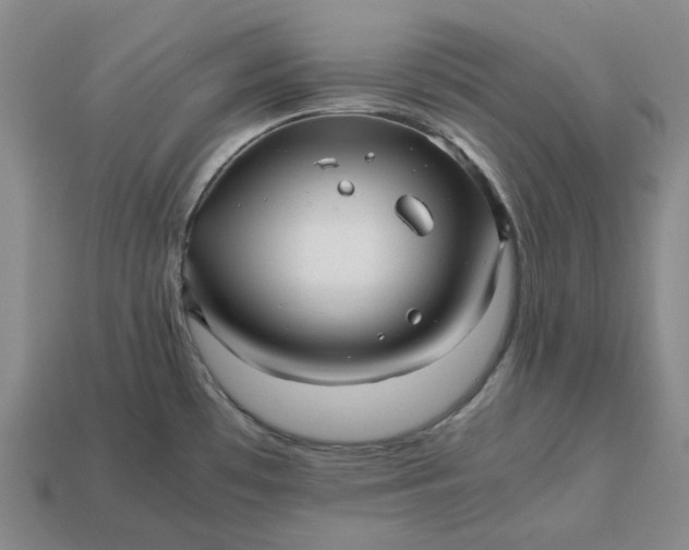 X0000112971481200909101643