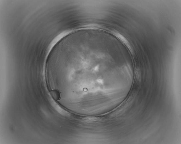 X0000112971482200909101643