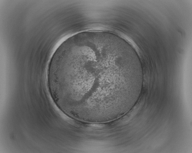 X0000112971483200909101643