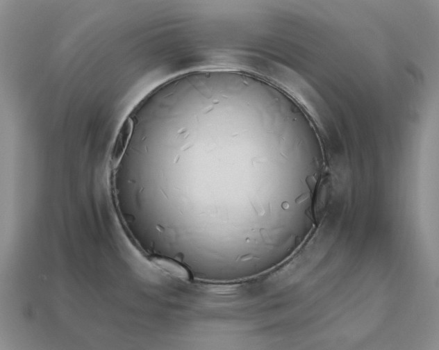 X0000112971484200909101643