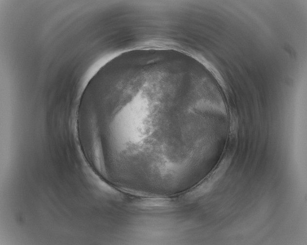 X0000112971486200909101643