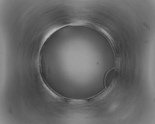 X0000112971487200909101643