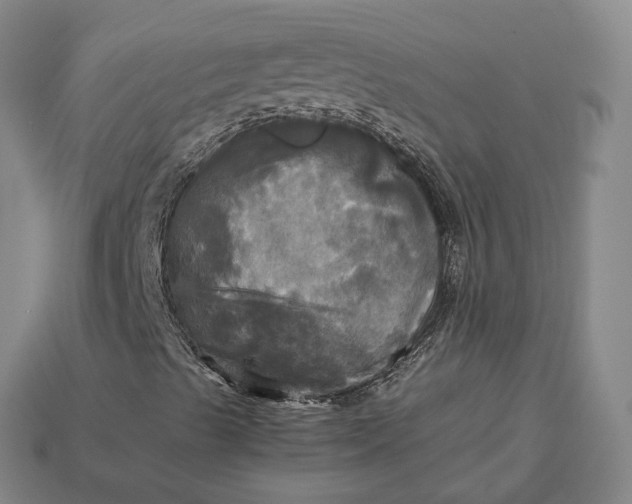 X0000112971489200909101642