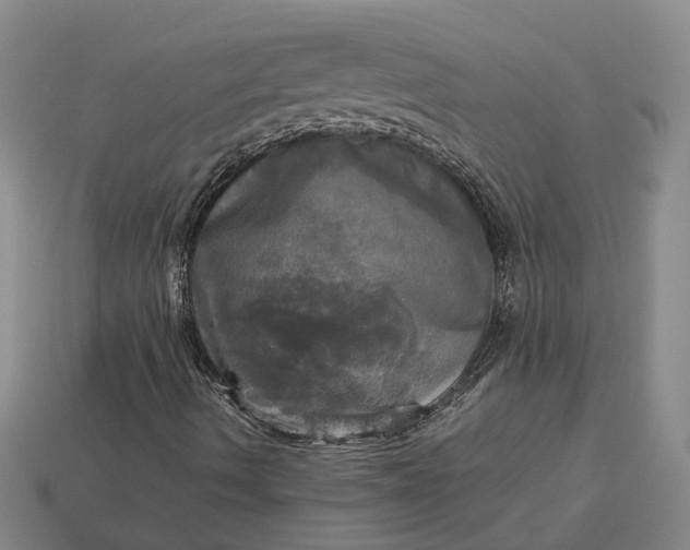 X0000112971490200909101642