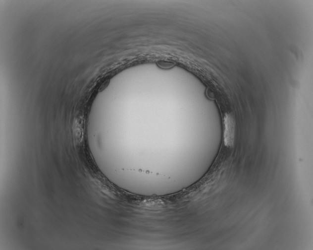 X0000112971491200909101642