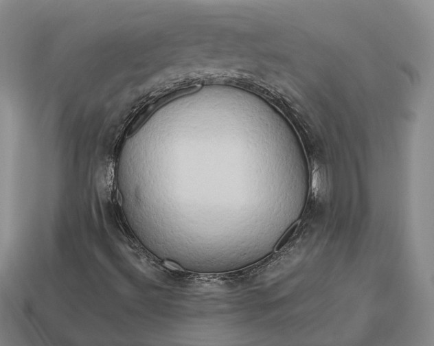 X0000112971492200909101642