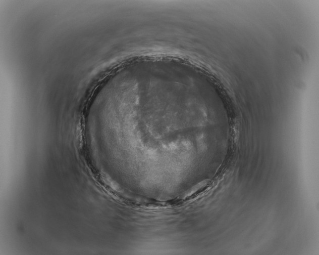 X0000112971493200909101642