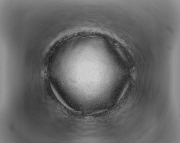 X0000112971495200909101642