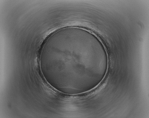 X0000112971497200909101642