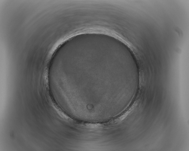 X0000112971498200909101642