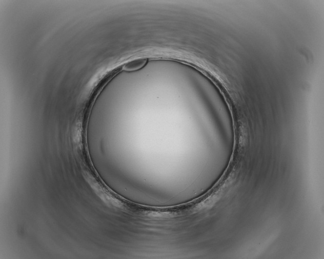 X0000112971499200909101642