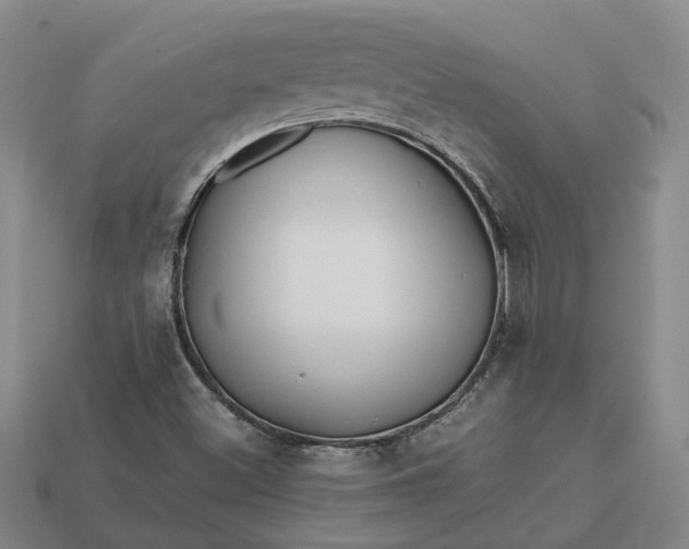 X0000112971500200909101642