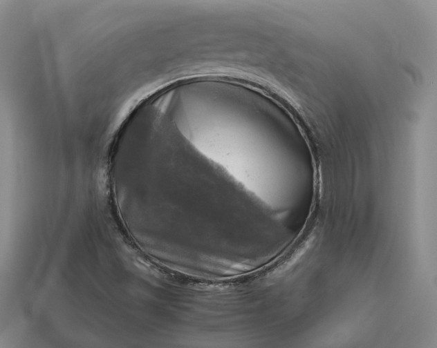 X0000112971501200909101642