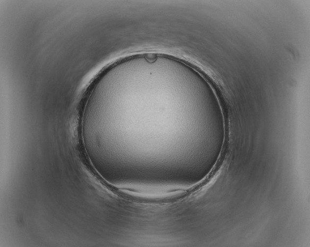 X0000112971502200909101642