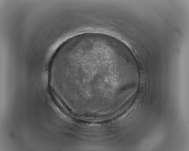 X0000112971503200909101642