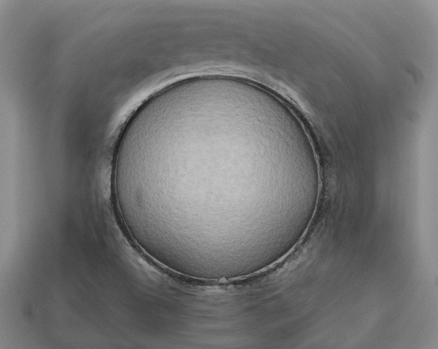 X0000112971504200909101642