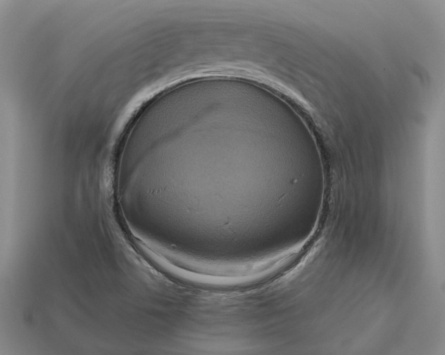 X0000112971506200909101642