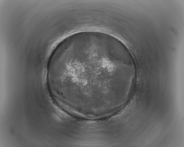 X0000112971507200909101642