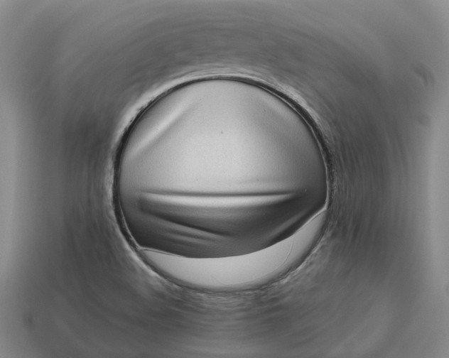 X0000112971508200909101642