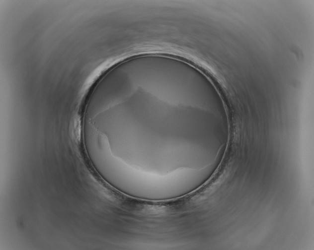 X0000112971509200909101642