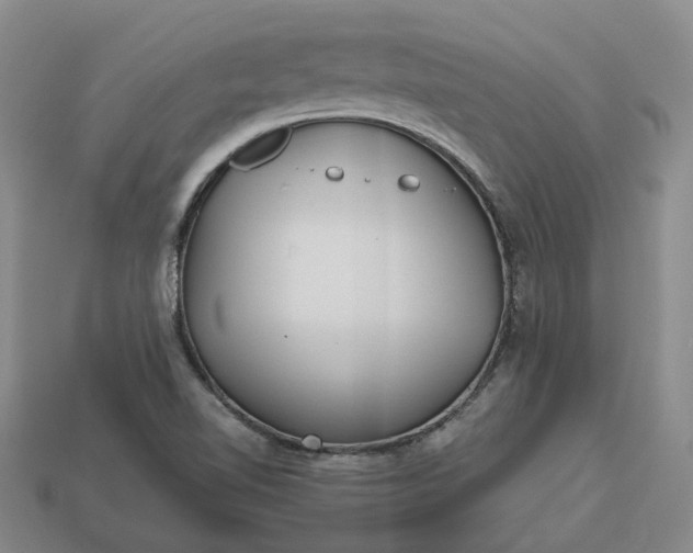 X0000112971510200909101642