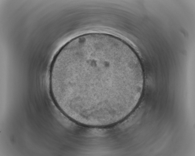 X0000112971514200909101642