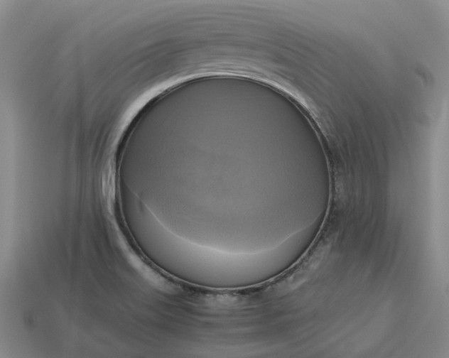 X0000112971515200909101642