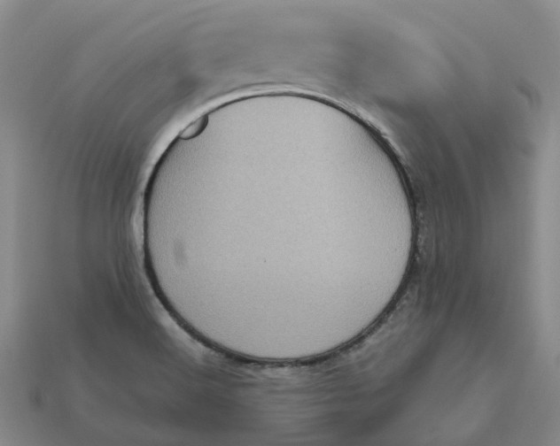 X0000112971516200909101642