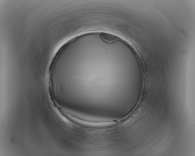 X0000112971519200909101643