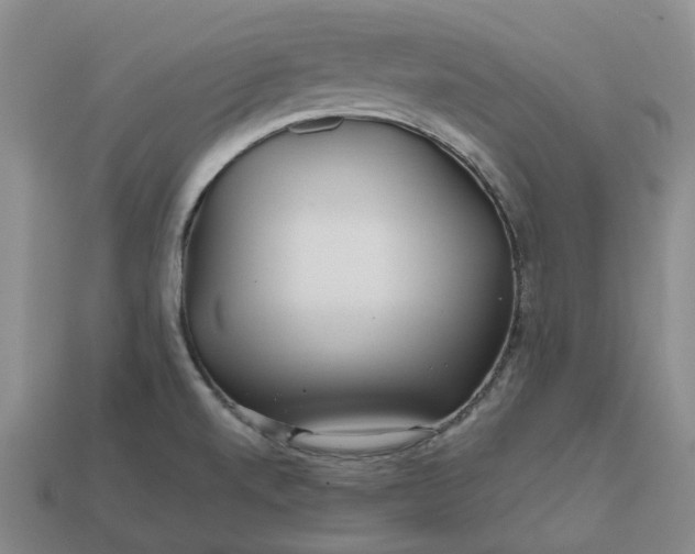 X0000112971520200909101643