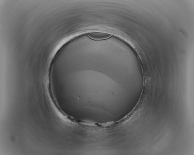 X0000112971523200909101643