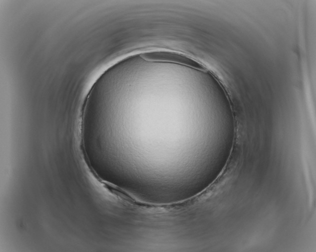 X0000112971524200909101643